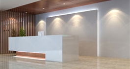 91视频网站免费观看简介